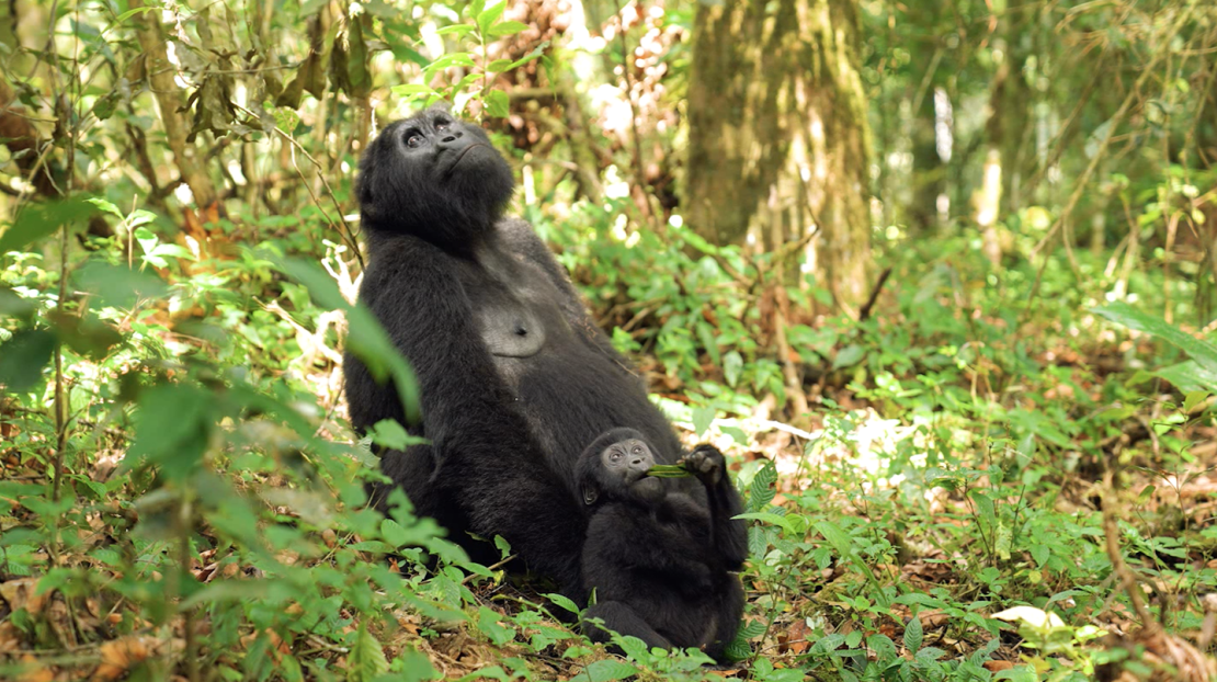 Tourism is one of the area